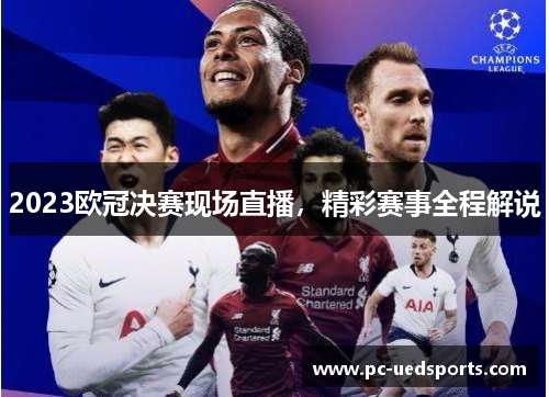 2023欧冠决赛现场直播，精彩赛事全程解说