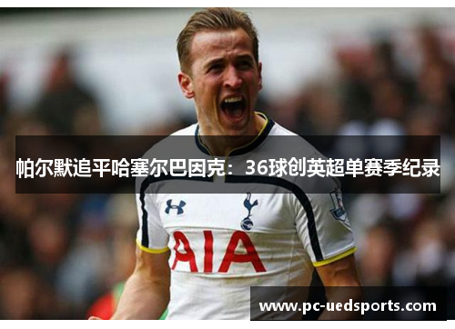 帕尔默追平哈塞尔巴因克：36球创英超单赛季纪录